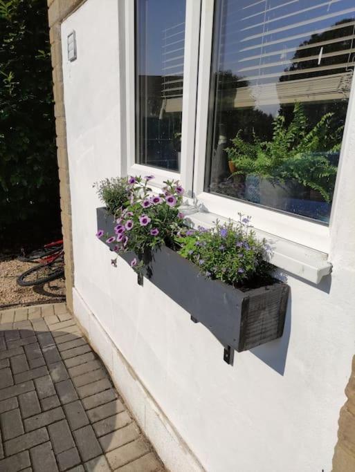 The Old Bar In Wiltshire - 1 Bedroom Guesthouse كيبنهام المظهر الخارجي الصورة